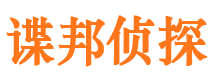 芦山市场调查